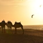 VILLA GARANCE ESSAOUIRA Balade Chameau